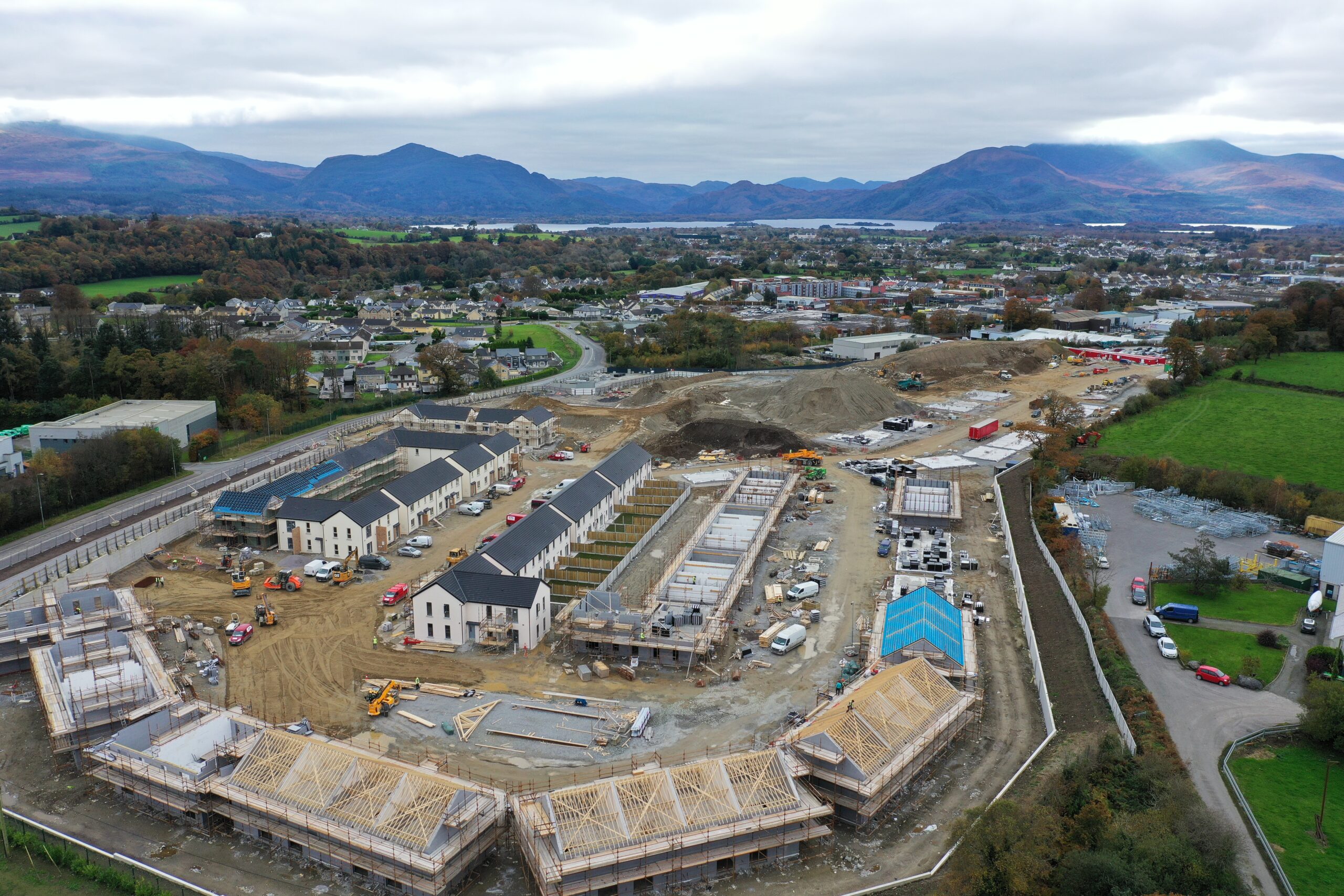 Cronins Wood, Killarney, Kerry.